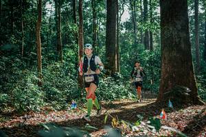 BIB: 
                            <button type="button" onclick="openModal(26129576)" class="btn btn-primary btn-sm float-right btn-popup" data-toggle="modal" data-target=".modal-high-quality">
                        <i class="fas fa-shopping-cart"></i> Add to Cart
                    </button>
                                            <button type="button" onclick="isThisMe(26129576, true)" class="btn btn-success btn-sm float-right btn-popup btn-isme hidden" data-toggle="tooltip" data-placement="bottom" title="นี่คือรูปของคุณใช่ไหม คลิกที่นี่เพื่อเอาเข้าอัลบั้ม">
                        <i class="fas fa-plus"></i> Add to album
                    </button>
                    <button type="button" onclick="isThisMe(26129576, false)" class="btn btn-warning btn-sm float-right btn-popup btn-isnotme hidden">
                        <i class="fas fa-ban"></i> Remove from album
                    </button>